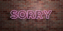 SORRY - Fluorescent Neon Tube Sign On Brickwork - Front View - 3D Rendered Royalty Free Stock Picture. Can Be Used For Online Banner Ads And Direct Mailers..