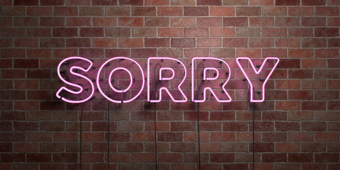 Wall Mural - SORRY - fluorescent Neon tube Sign on brickwork - Front view - 3D rendered royalty free stock picture. Can be used for online banner ads and direct mailers..