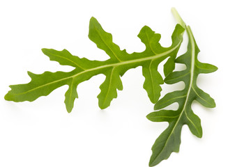 Wall Mural - Close up studio shot of green fresh rucola isolated on white background.