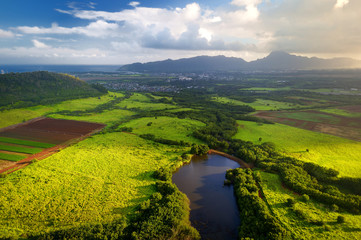 Poster - Beautiful view of spectacular jungles, field and meadows of Kauai island near Lihue town