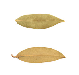 Sticker - Single dried bay leaf isolated