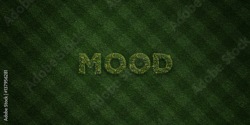 Fotografie, Obraz MOOD - fresh Grass letters with flowers and dandelions - 3D rendered royalty free stock image