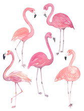 Set Watercolor Random Flamingos