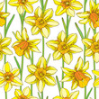 Vector seamless pattern with outline narcissus or daffodil flower in orange and yellow with green foliage on the white background. Floral background with narcissus for spring design in contour style.