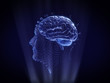 Human face and brain Hologram Wireframe Style.3D rendering