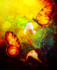Aufkleber - flying butterfly on decorative background with cala flower, graphic design.