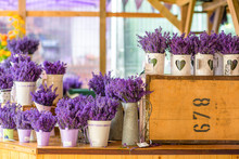 Fresh Lavender In The English Farm Shop On The Wooden Counter