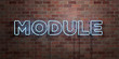 MODULE - fluorescent Neon tube Sign on brickwork - Front view - 3D rendered royalty free stock picture. Can be used for online banner ads and direct mailers..