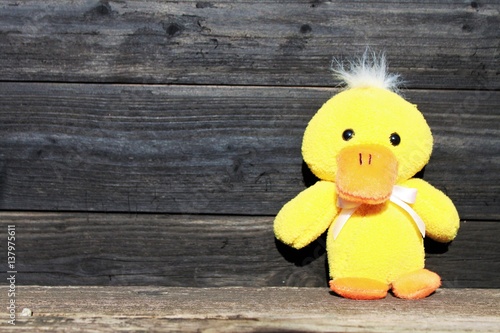 wood duck stuffed animal