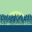 © kstudija - Corn field evening or morning light landscape vector