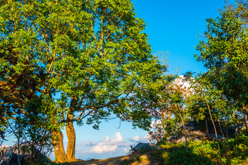 Canvas Print - View point of Doi Pha Tang at Chiangrai province