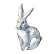 Rabbit. Isolated on white background. Watercolor hand drawn illustration. Easter design.