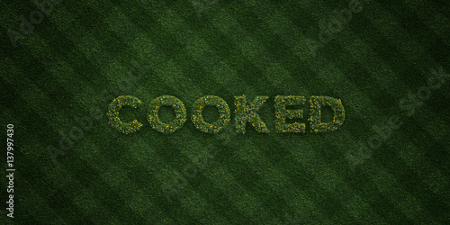 Fotografie, Obraz COOKED - fresh Grass letters with flowers and dandelions - 3D rendered royalty free stock image