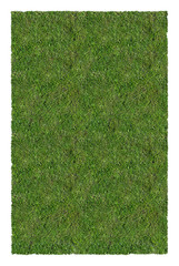 Canvas Print - dark green grass isolated carpet