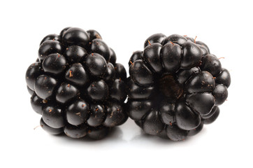 Wall Mural - blackberries on a white background