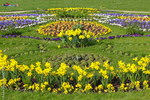 Blumenrabatten Im Fruhling Grosser Garten Dresden Buy This Stock