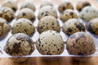 Small raw quail eggs in the package closeup