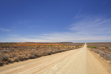 Wall Mural - Dirt road through the Karoo in South Africa