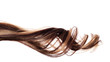 Leinwandbild Motiv brown hair on white background