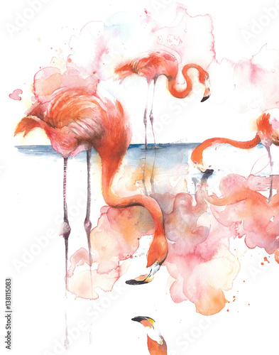 flaming-na-jeziornym-lasowanie-rozowym-ptasim-ptaku-afryka-akwareli-ilustracja-odizolowywajaca-na-bialym-tle