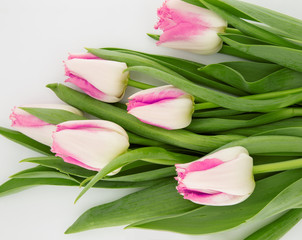 Wall Mural - Bouquet of tulips isolated on white background. Spring flowers. Greeting card for Valentine's Day, Woman's Day and Mother's Day. Top view.