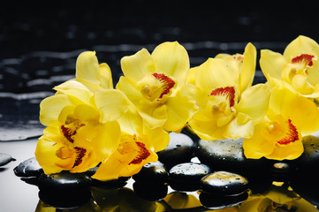 Sticker - Branch yellow orchid with therapy stones 