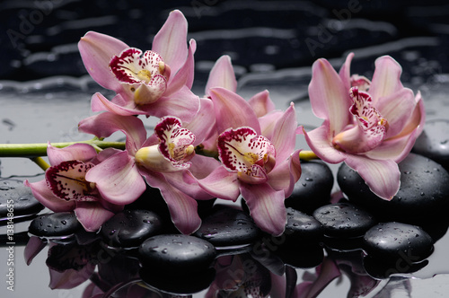 galeziasta-orchidea-z-kamieniami-terapii