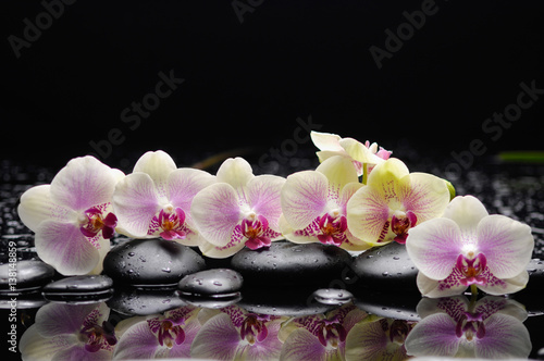 Nowoczesny obraz na płótnie Set of white orchid with therapy stones 