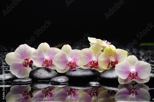 Fototapeta na wymiar Set of white orchid with therapy stones 