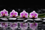 Fototapeta Panele - Set of four orchid with therapy stones 