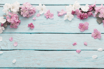 Wall Mural - apple flowers on wooden background