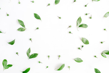 Poster - Frame wreath of green leaves on white background, Flat lay, top view. Flower background.