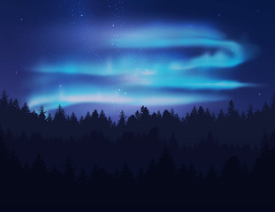 Wall Mural - Beautiful northern lights in night sky over forest. Vector illustration.