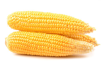 Canvas Print - Corn on a white background