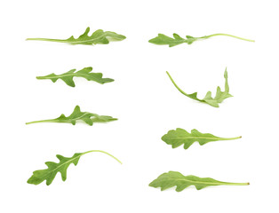 Wall Mural - Single green rocket salad leaf isolated