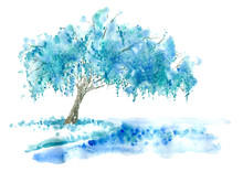 Weeping Willow On The Lake. Blue Tree. Watercolor Hand Drawn Illustration.