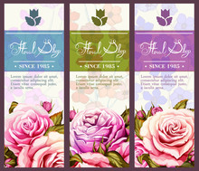 Three Template Cards With Roses. Floral Shop Template. Can Be Used As Invitation, Floral Advertisement, Different Holidays. Etc. As Well. Vintage Style. 