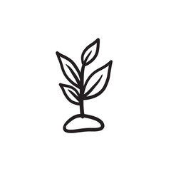 Poster - Sprout sketch icon.