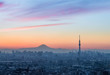 Tokyo city view , Tokyo Skytree and Mt. Fuji