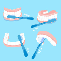 Poster - how to brush tooth