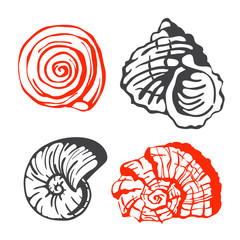 Poster - Sea marine shells hand drawn sketch vector illustration.