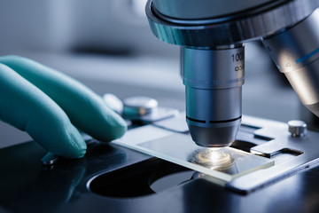 Wall Mural - close up view of scientist hands with gloves set the sample in the microscope for research