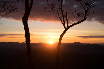 Canvas Print - Beautiful Landscape of Sunrise with mist, sky and cloud shooting from top mountain at Phu Bo Bit, Loei, Thailand