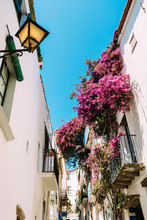Rural Streets In Cadaques, Spain