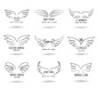© K3Star - Hand drawn wings logo set. Vector doodle winged icons