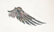 Metallic angel wing.Freedom fairy
