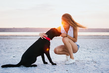 Young Female Training Labrador Retriever Dog On The Beach At Sunset