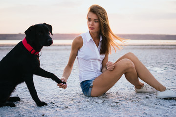 Young female training labrador retriever dog on the beach at sunset