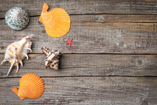 Seashells On An Old Wooden Background