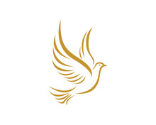 Dove Bird Logo